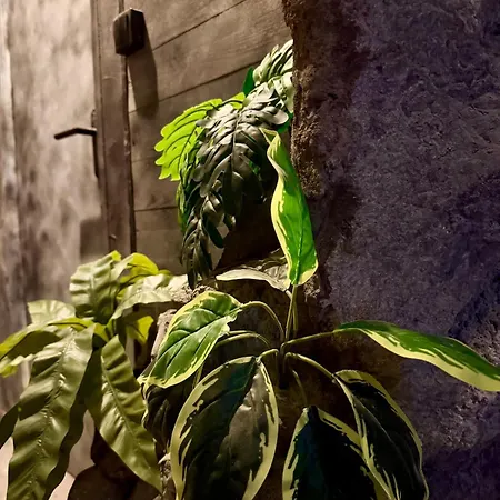 דירה La Grotte Immersion Complete Avec Jacuzzi *