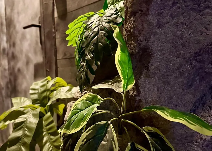 דירה La Grotte Immersion Complete Avec Jacuzzi *